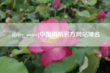 上杭中国消防官方网站域名