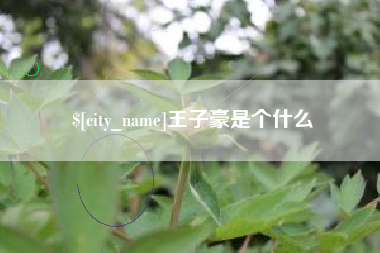 上杭王子豪是个什么