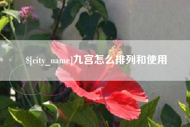 上杭九宫怎么排列和使用