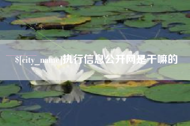 上杭执行信息公开网是干嘛的