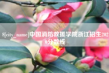 上杭中国消防救援学院浙江招生2020分数线