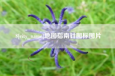 上杭地图指南针图标图片