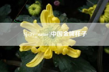 上杭中国金牌样子