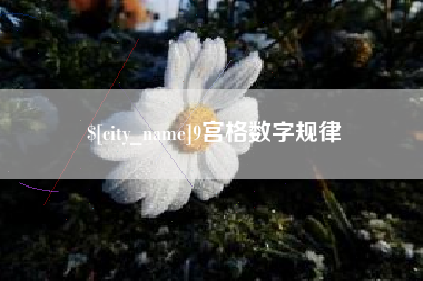 上杭9宫格数字规律