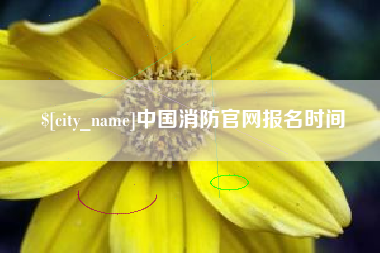 上杭中国消防官网报名时间