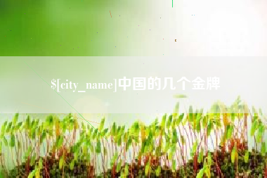 上杭中国的几个金牌