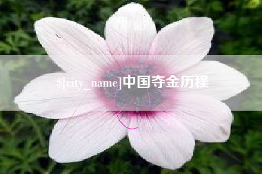上杭中国夺金历程