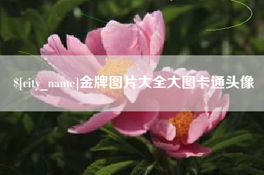 上杭金牌图片大全大图卡通头像