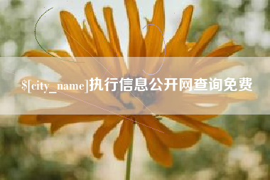 上杭执行信息公开网查询免费