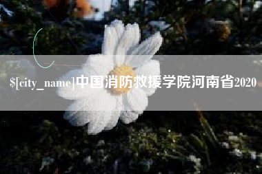 上杭中国消防救援学院河南省2020