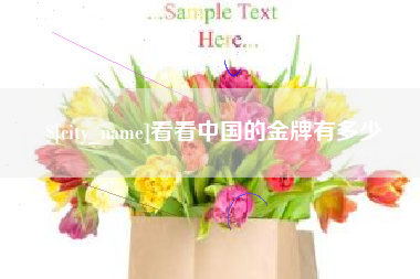 上杭看看中国的金牌有多少